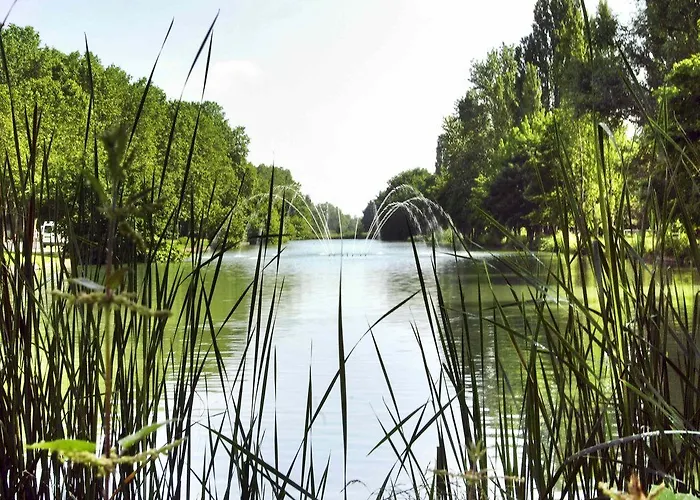 호텔 머큐어 센터 4*